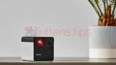 Petcube Play 2. Bewakingscamera met laserspeeltje voor katten.