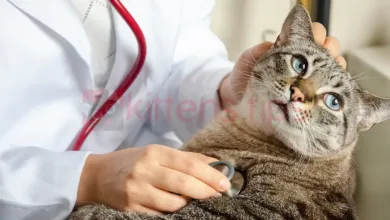 Panleukopenie of Feline Parvovirus (FPV)