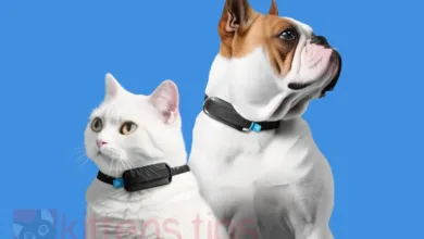 Minitailz slimme huisdierentracker. Draagbaar AI-apparaat voor het monitoren van de gezondheid van katten en GPS.
